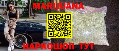 хмурый Сланцы
